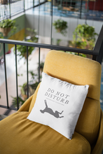 Load image into Gallery viewer, Do Not Disturb - 100% Linen Cushion Cover
