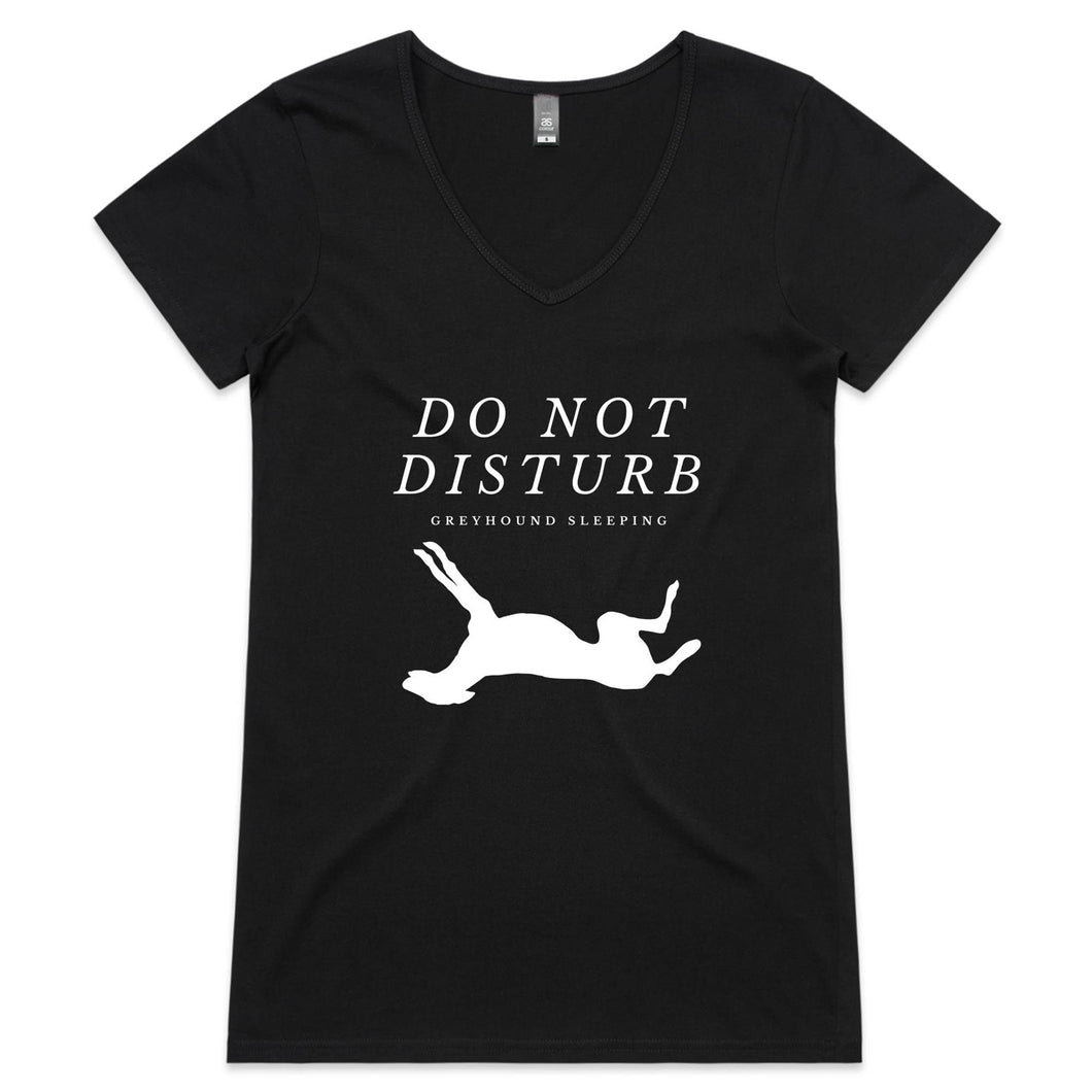 Do Not Disturb - Women's V-Neck T-Shirt