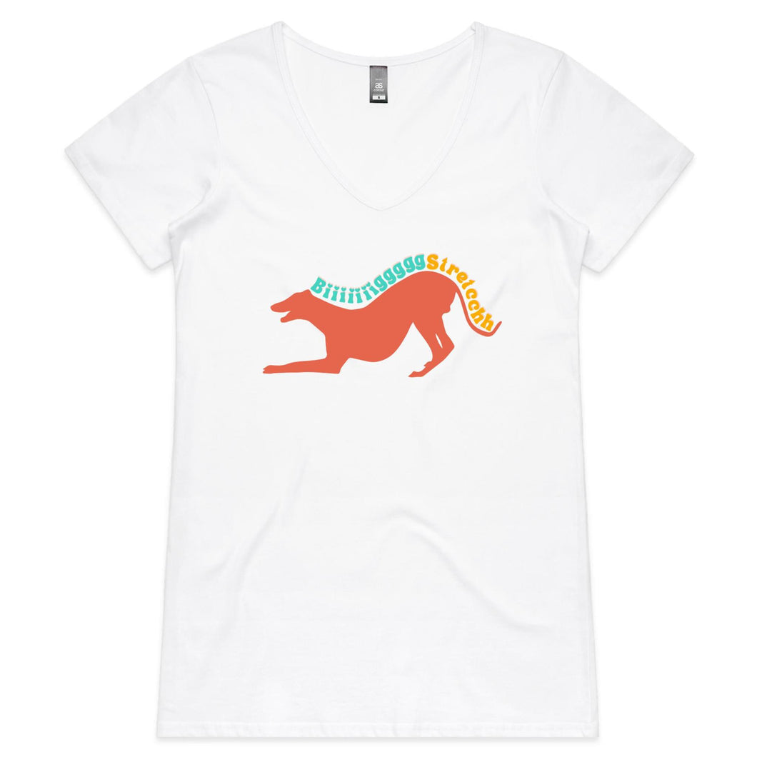 Big Stretch - Women's V-Neck T-Shirt